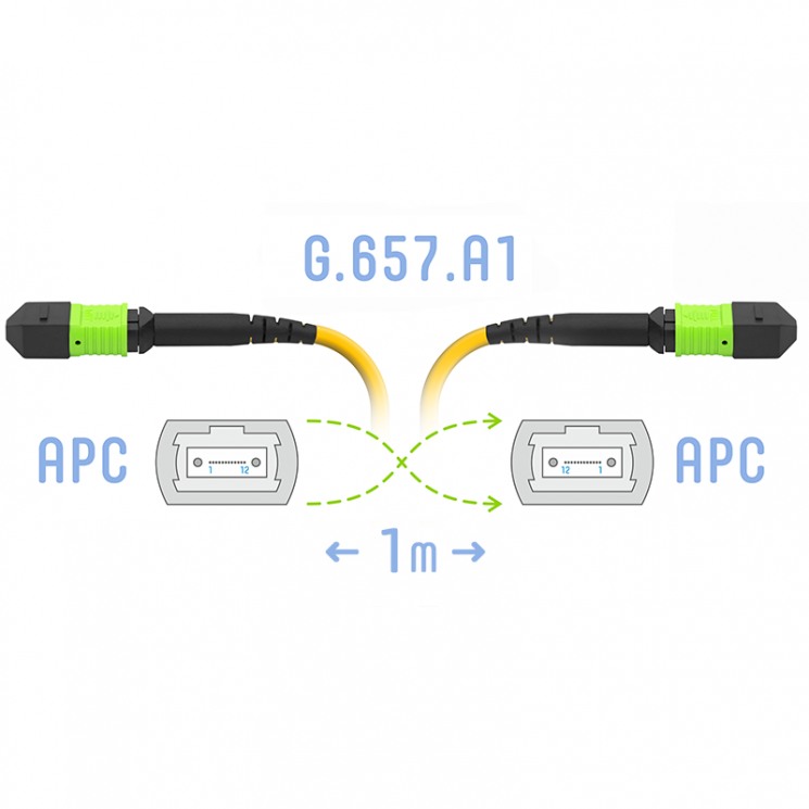 Патчкорд оптический MPO/APC FF SM G.657.A1, 8 волокон, 1 метр (Cross)