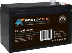 СК 1209 ВОСТОК Аккумуляторная батарея
