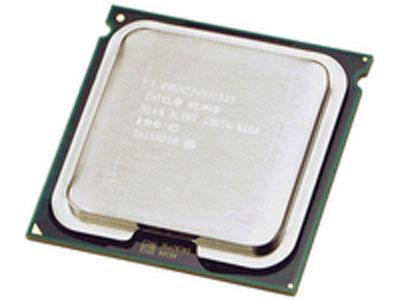 Процессор IBM 40K1259 Intel Xeon 7110N (2.5GHz 4MB L3 Cache Dual Core)-40K1259(NEW)