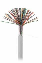 Кабель NETLAN U/UTP 50 пар, Кат.5 (Класс D), 100МГц, одножильный, BC (чистая медь), внутренний, PVC нг(B), серый, 305м