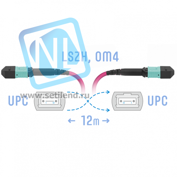 Патчкорд оптический MPO/UPC FF MM (50/125 OM4), 12 волокон, 12 метров (Cross)