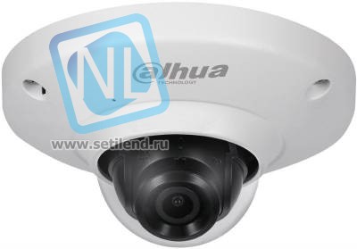 IP камера Dahua DH-IPC-EB5531P фишай 5Мп, объектив 1.4мм, IP67, IK08, microSD